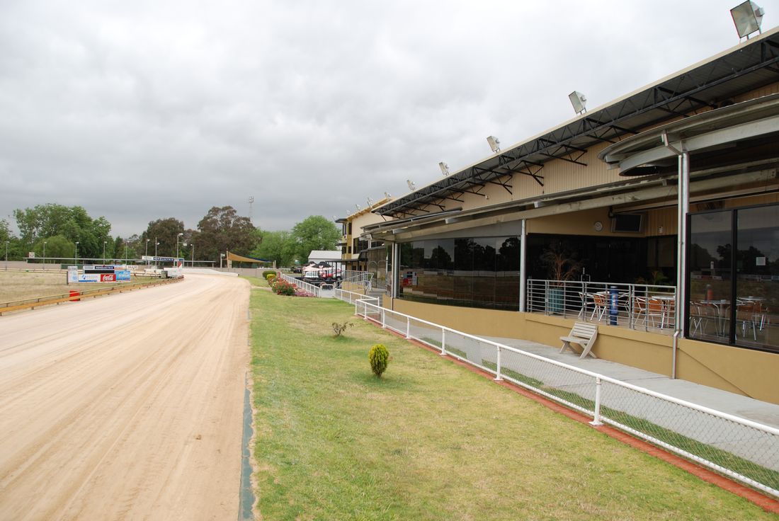 greyhound club sale